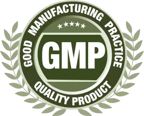 GMP-logo.webp