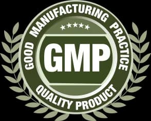 GMP-logo.webp